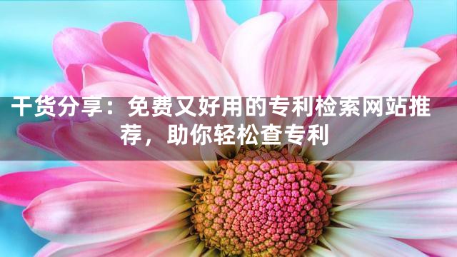 干貨分享:免費(fèi)又好用的專利檢索網(wǎng)站推薦,助你輕松查專利