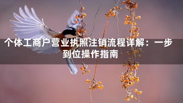 個(gè)體工商戶營業(yè)執(zhí)照注銷流程詳解:一步到位操作指南