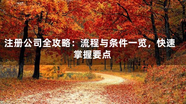 注冊公司全攻略:流程與條件一覽,快速掌握要點(diǎn)