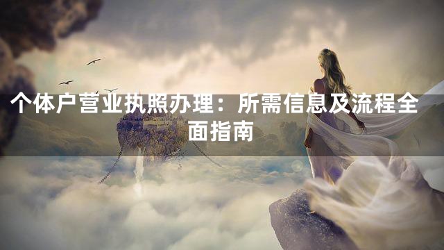 個(gè)體戶營業(yè)執(zhí)照辦理：所需信息及流程全面指南