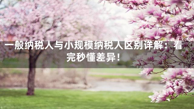 一般納稅人與小規(guī)模納稅人區(qū)別詳解：看完秒懂差異！