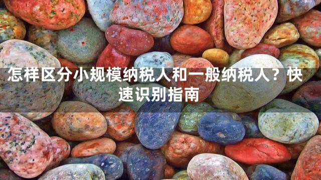 怎樣區(qū)分小規(guī)模納稅人和一般納稅人？快速識別指南