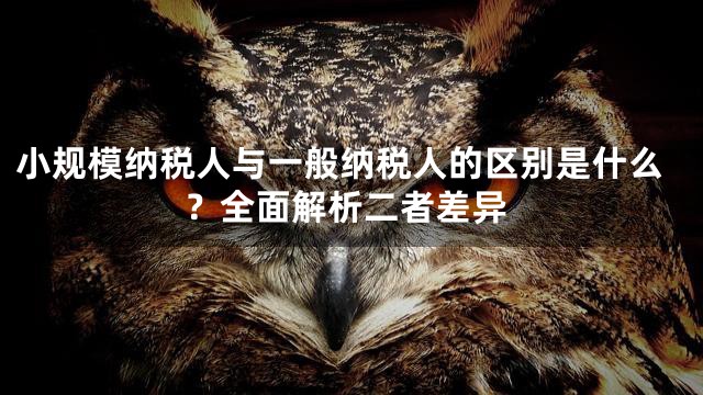 小規(guī)模納稅人與一般納稅人的區(qū)別是什么？全面解析二者差異