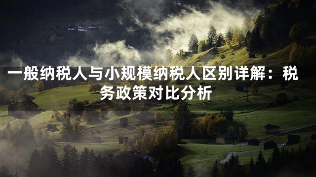 一般納稅人與小規(guī)模納稅人區(qū)別詳解：稅務(wù)政策對比分析